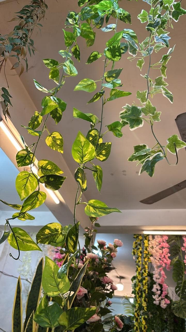 Balot Construction Co.